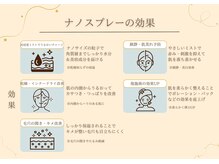 ベル 大和(Belle)/ナノスプレーの効果