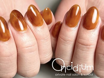 オンシジューム(Oncidium)/ニュアンスワンカラー