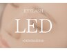 【LEDエクステ】フラットラッシュ140本/パーフェクトラッシュ200本