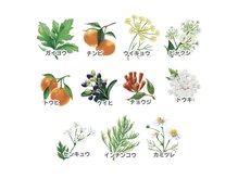ヨサパーク ブリスフル(YOSA PARK Blissful)の雰囲気(独自ブレンドの医薬部外品認可のハーブを使用してます♪)