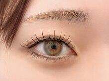 ネリネ 博多(nerine)/パリエク100本