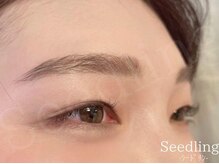 シードリン(Seedling)/眉毛ワックス