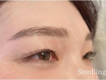 シードリン(Seedling)/眉毛ワックス