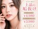 アネラ(ANELA)の写真