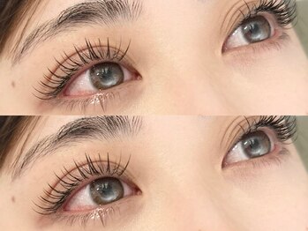 アマンズアイ(amans eye)/フラットラッシュ120本