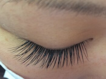 シュシュ(chou chou)/セーブル120本(chouchou吉祥寺)