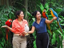 アジアンリラクゼーション ヴィラ 大橋店(asian relaxation villa)/タイ；サファリ・ワールド