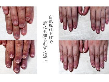 ヴェールリム(verl lim)の写真