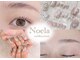ノエラ(Noela)の写真