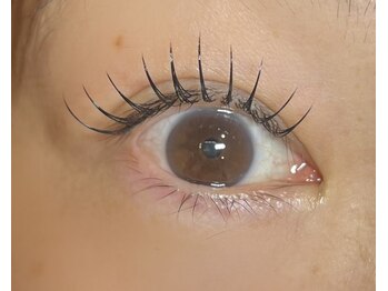 エファッセ 行田店(efface)/フラットラッシュ120本