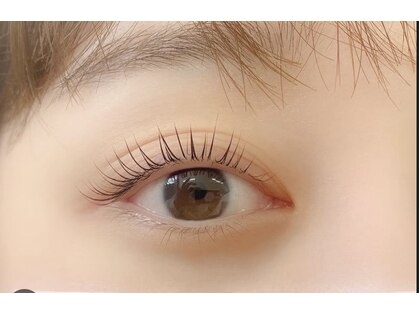 ルーチェ(Luce)の写真