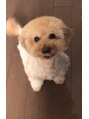 ブラジリアンワックス脱毛サロン ルラ 横浜(Lula)&nbsp;愛犬の太陽君☆