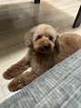 エックス(X)&nbsp;愛犬です！