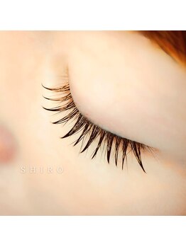 シロ(SHIRO)/LED 120