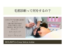 ボディデザインホームクレアフェリーチェ 神戸(Body design home Crea felice)/毛密診断とは