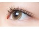 ココ 高畑店(Beautysalon COCO)の写真/【自分史上最強の持続力フラットプラス！】取れないよう360度自まつ毛をコーティング★50set(100本)¥5400