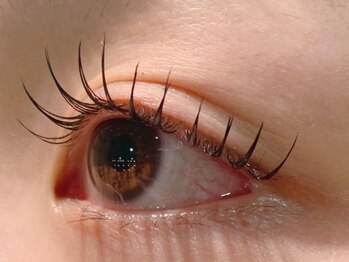 ザラボアングゥ(The Labo ungu)/【パリエク】