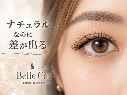 ベルキャット(Belle Cat)の写真
