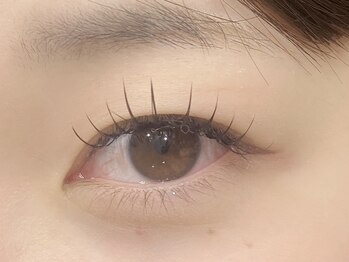 ルピドルジュ(le.pidorge)/flat lash