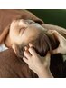 【 頭痛・眼精疲労・睡眠の質改善♪】シンプルドライヘッドスパ  60分￥7000