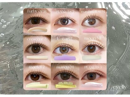 アイリー(eyelly)の写真