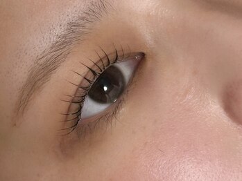 コルテアイ(CoRte.eye)/まつ毛パーマ/ラッシュリフト