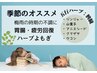 《梅雨の巡りケア》胃腸・だるさ対応ハーブ蒸し体験【五行ハーブ】