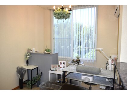 リリー(Lilly)の写真