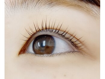 ベル(Belle)/まつ毛パーマ ラッシュリフト