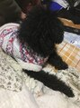 プラチナムニイガタ 新潟(PLATINUM NIIGATA) 動物が好きです!