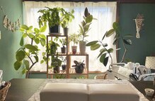 オルオル(Olu'Olu)