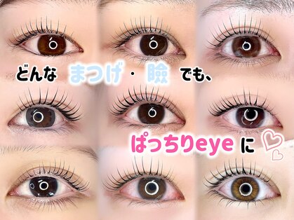 マドンナリリー(Madonna Lily)の写真