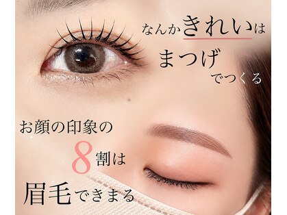 コリー(Kolly)の写真