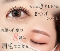 コリー(Kolly)
