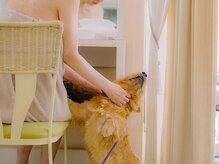 ソピアー(SOPIAH)の雰囲気（看板犬セロイがおります。犬が苦手な方は事前にお知らせください）