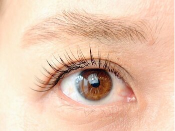 タン カルム(temps calme)/フラットマットラッシュ120本