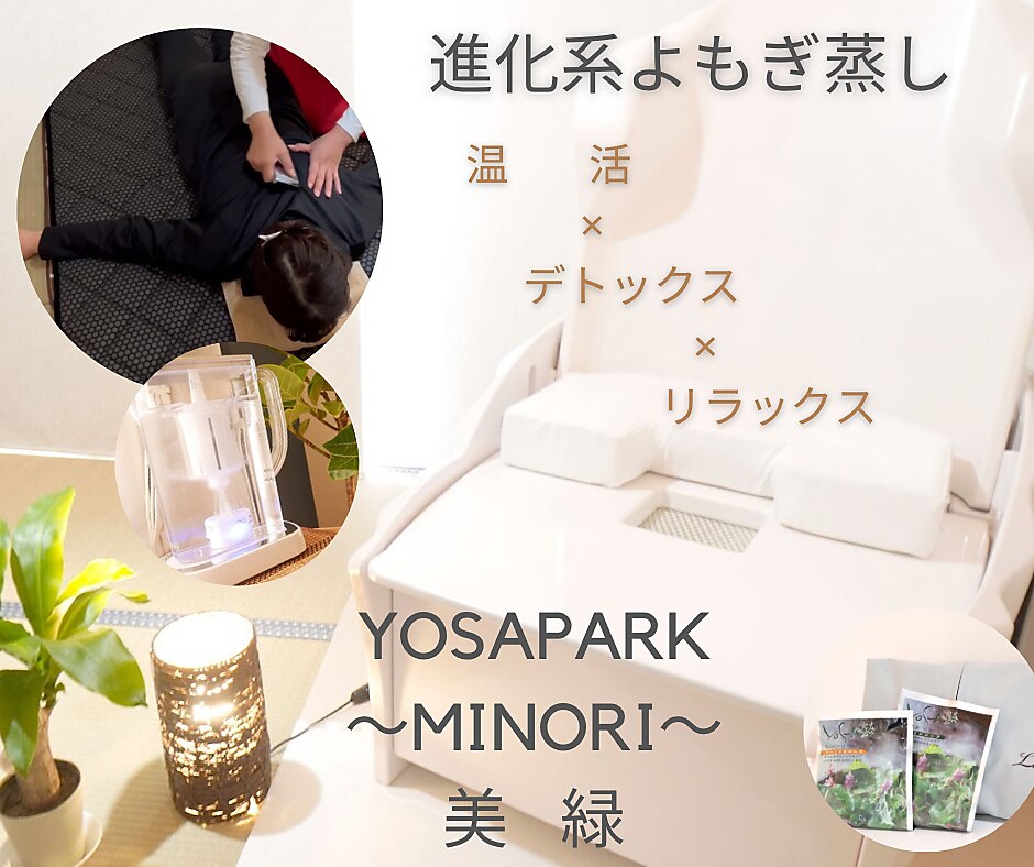 ゆきテルスガイザー＋テラダウンケット TERAダウンケット テルスガイザー テラダウンケット テルス