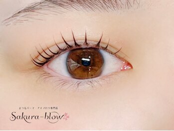 サクラブロウ 大阪駅前第4ビル店(Sakura-blow)の写真/《目の形に合わせたデザインまつげパーマ/美眉スタイリング》熟練アイデザイナーがなりたい目元を叶える♪
