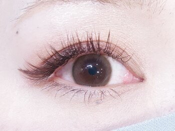 ヴァン カウンシル 川中島店(VAN COUNCIL)/ブラウン&レッドブラウンMIX