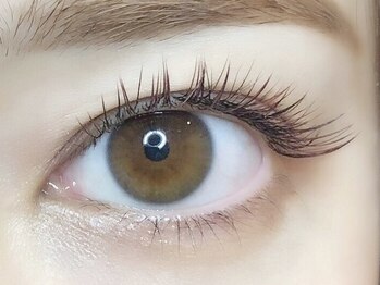 ローラント(LAURENT)/カラーマツエク160本