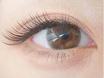 エムドット イン セレナ(m. in SIRENA)