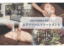 エステプロラボ 新潟