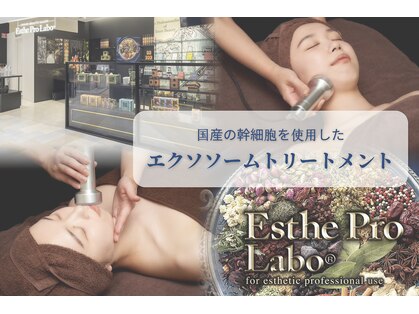 エステプロラボ 新潟の写真