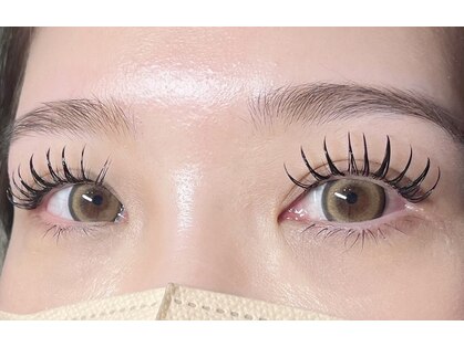 エルモ(elmo)の写真