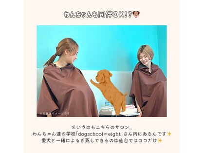 エイト(Eight)の写真