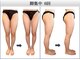 椿(TSUBAKI)の写真