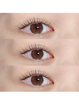 ルピナス(Lupinus)/学割まつげパーマ