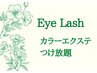 【フラットラッシュ/セーブル】カラーエクステ付け放題(オフ込) 9500円