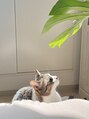 クラウドナイン(Cloud Nine) 動物大好き★今は猫ちゃんと暮らしてます♪