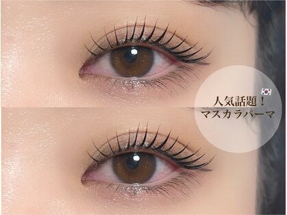 アウレル(AUREL)の写真